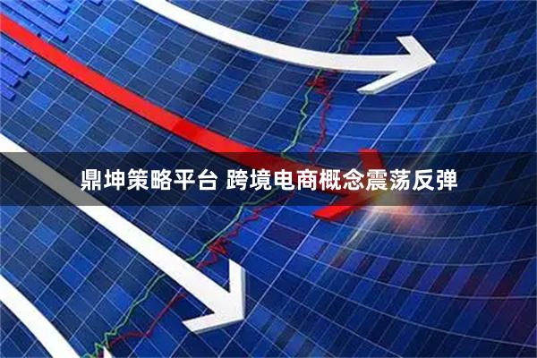 鼎坤策略平台 跨境电商概念震荡反弹