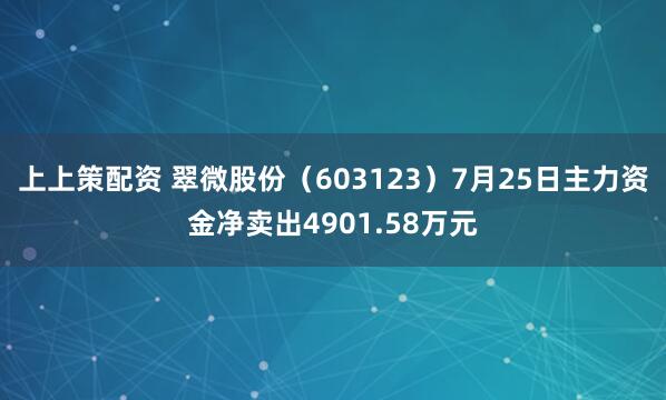 上上策配资 翠微股份（603123）7月25日主力资金净卖出4901.58万元