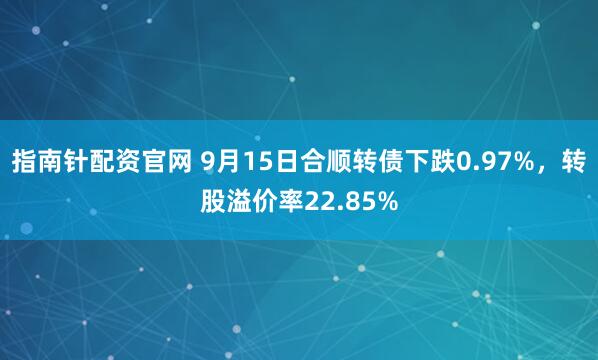 指南针配资官网 9月15日合顺转债下跌0.97%，转股溢价率22.85%
