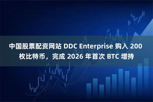 中国股票配资网站 DDC Enterprise 购入 200 枚比特币，完成 2026 年首次 BTC 增持