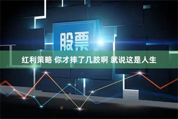 红利策略 你才摔了几跤啊 就说这是人生