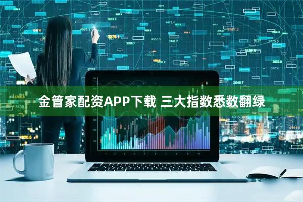 金管家配资APP下载 三大指数悉数翻绿